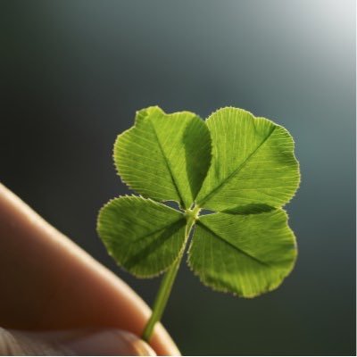 NasirShakouri's profile picture. Nasir Shakouri Founder and CEO of Encore Cardservice