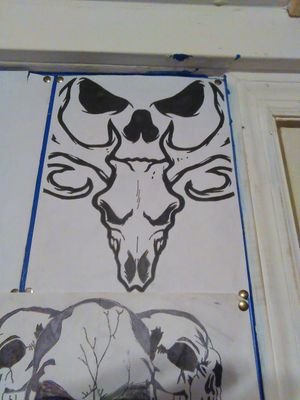 a95587564dae488's profile picture. 