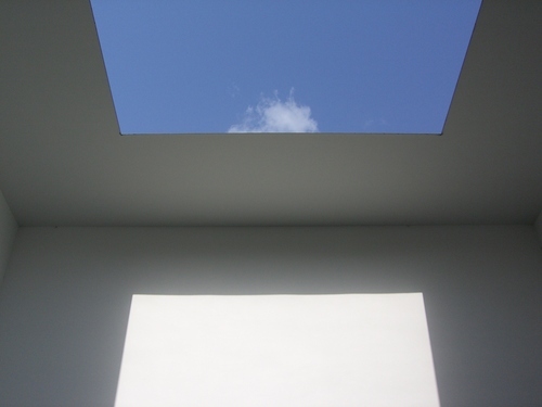 tomonimo's profile picture. 