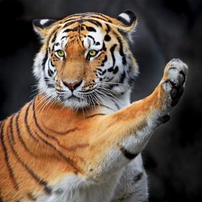 EV_EBITAIGA's profile picture. ひぐみ/戸塚/光陵/早稲田/業界の辺境