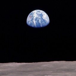 ishidack's profile picture. 映画つくってます。