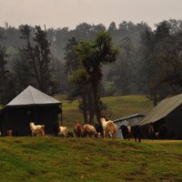 PristinePeaksEcoCamp (@ecopeaks) 's Twitter Profile