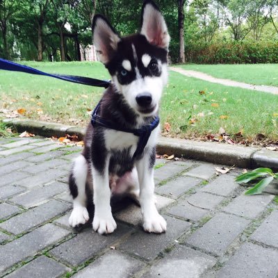 Pb2VkwL2tScCsSE's profile picture. 