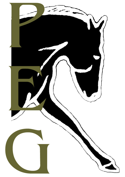 palominogroup's profile picture. Palomino Entertainment Group (PEG) is a multi-faceted production company, developing and producing projects for television, film & theater.