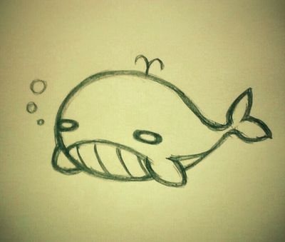 oO(遊牧民のクジラ)さんのプロフィール画像