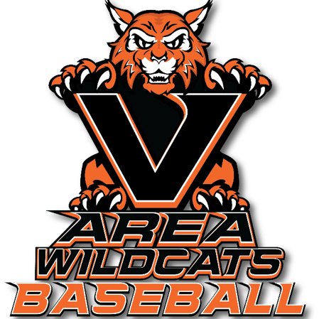 Verona Wildcat Varsity Baseball Team