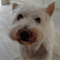 Mr Ted 🌈(@TeaboyTeddy) 's Twitter Profile Photo