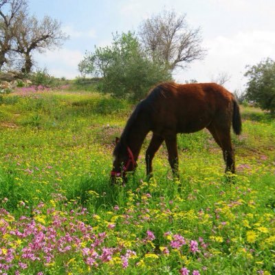 zx778xz's profile picture. 