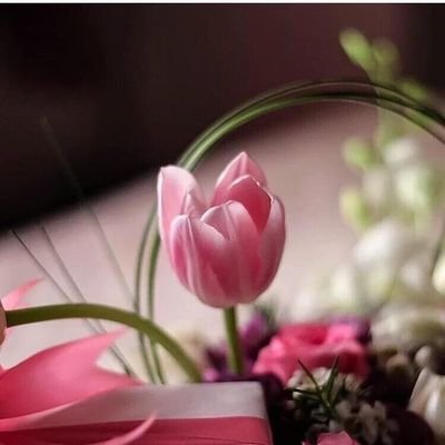 Sush_511's profile picture.