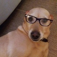 Tim Jackson (@willynilly633) 's Twitter Profile