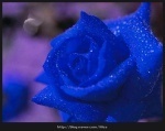 일드, 미드를 좋아하고, 일본어를 배우고 싶고, 10년뒤 세계를 여행할, 약사의 길에 도전하는 20대 청춘.