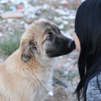 BATIKENT (@meydancocuklari) Twitter profile photo