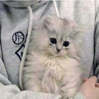 أمـــل 🎀 (@meg0x73rvwxelsh) 's Twitter Profile