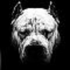 The_Wroy's profile picture. Kinofil, IT zaluđenik..