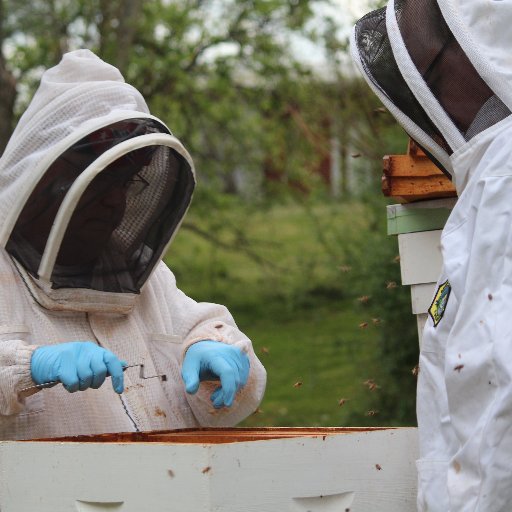 I love beekeeping & I just wanted 2 understand the issues affecting bees. It's not chemical, habitat reduction or mites. It's man & only man can fix it