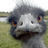 magsolomon's profile image