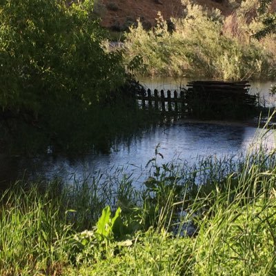 jjil75's profile picture. Proclaiming that Jesus is Lord. Sharing God's word and end time news to help wake up and encourage God's people