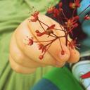 Kellie Evans - @earthyorganicma - Twitter