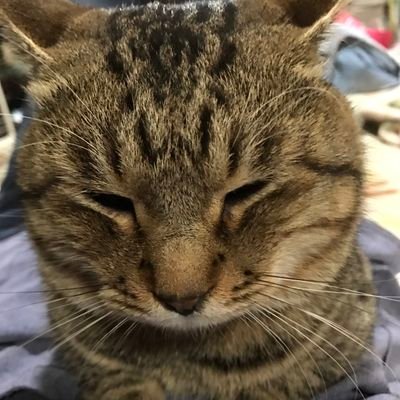 うらしまうらさんのプロフィール画像
