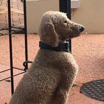 quaddietime's profile picture. 