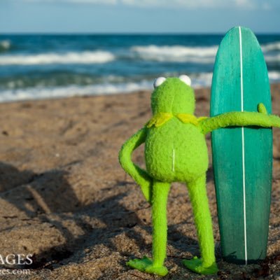 perky281's profile picture. 