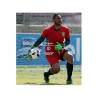 Lee Langeveldt (@leelangeveldt) 's Twitter Profile