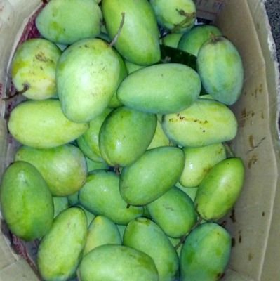 JanmarieCip's profile picture. 