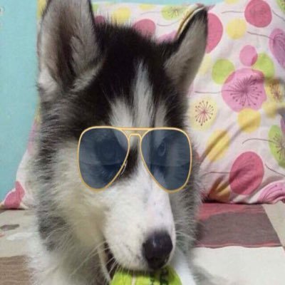 jho1068's profile picture. 