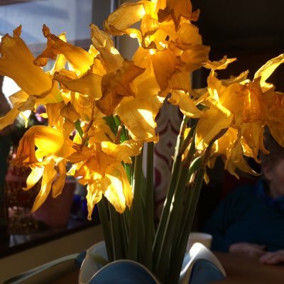 Andrew11Jade's profile picture. Gymnastics, Pop music, Tennis, Art