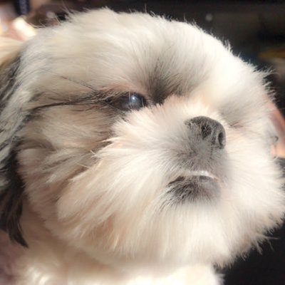 harryのプロフィール写真