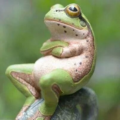 Pompeya29's profile picture. 