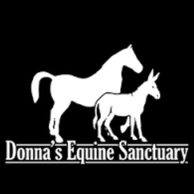 horse_sanct_ie's profile picture. A charity that rescues, rehabilitates and rehomes abandoned, unwanted and neglected horses in Dungarvan and surrounding areas.