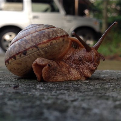 atvm3's profile picture. なんとなくなんでもつぶやく