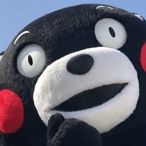 noriko_hata's profile picture. 残り少ない人生、大好きなくまモンと台湾に癒されていたいものです～💕