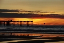 NG_SanDiego's profile picture. San Diego Local Expert for Nileguide, your online travel source