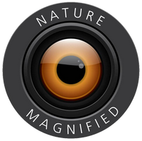 NatureMagnified's profile picture. Nature Photography up close, through macro and telephoto lenses, with detailed write up explaining the less seen sides of nature.