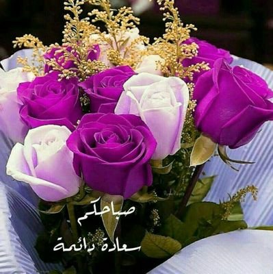 mohammed1976983's profile picture. ‏‏احب الدين والعلم والتكنولوجيا والرياضة والحسابات