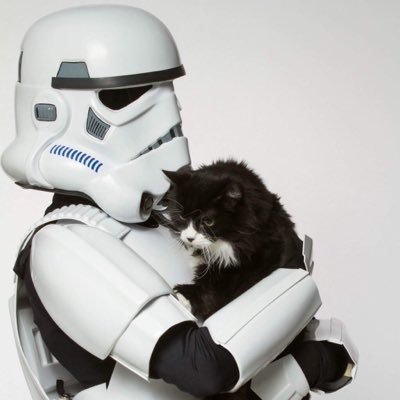 formfirst041211's profile picture. 