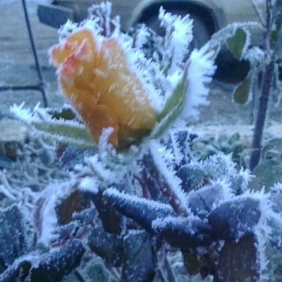 LarisaMospan's profile picture. 37 лет п. Волна Краснодарский край