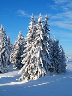 blogwintersport's profile picture. Tweets over wintersport, van http://t.co/biM84hx9H0