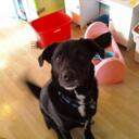 Amy Hobson - @AmsHobson - Twitter