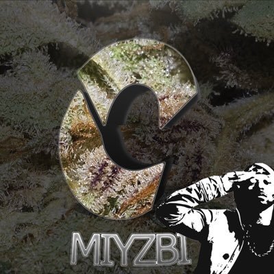 tExEZeimzy's profile picture. 