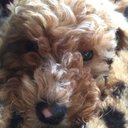 Jacob Pfeifer - @MR_UNICORN24 - Twitter