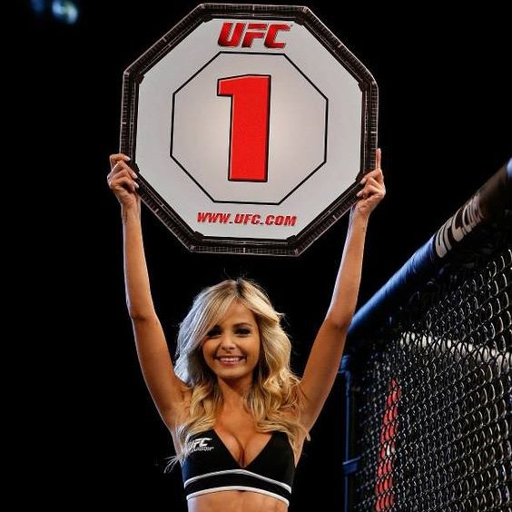 BibergSports's profile picture. two sports-loving nerds who built an algorithm based predictive model to effectively wager on MMA/UFC fights