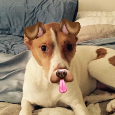 1jeff_rivera's profile picture. 