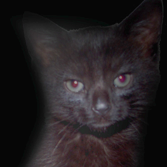 tommymtom's profile picture. that one guy