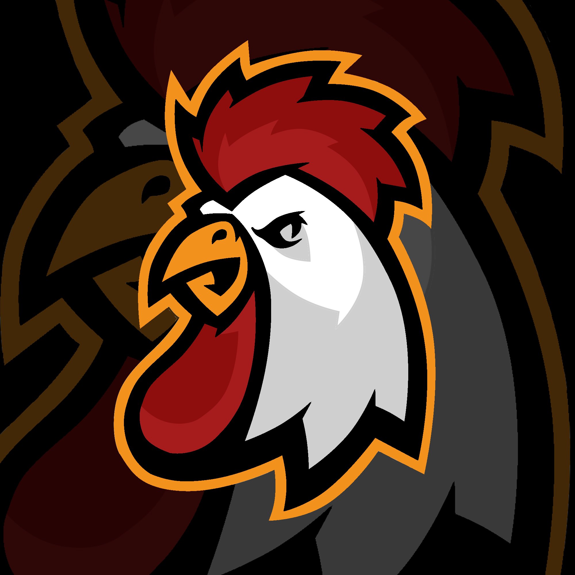 Hi Im young Artist i Play on CsGo And Hots , Lol i recorder my gameplay