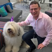 Peter Rhodes (@peterwrhodes) 's Twitter Profile