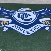 OC_bald_eagles (@oc_bald_eagles) 's Twitter Profile