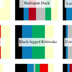 I tweet the colours of birds from North America.

Made with cheapbotsdonequick!